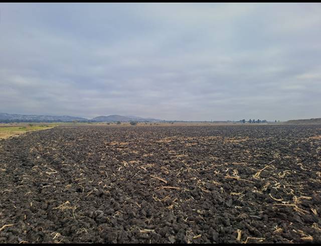 10.30HA FARM FOR SALE IN WATERKLOOF AH
